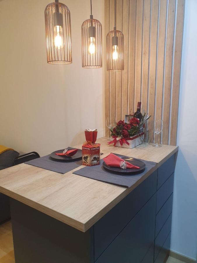 Downtown Apartment Belgrade