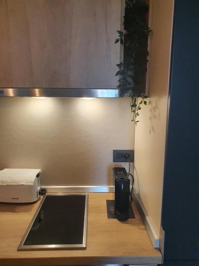 Apartment Downtown Belgrade